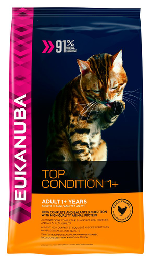 Корм Eukanuba для кошек: состав, польза и особенности