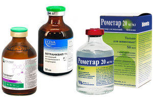 Снотворные и успокоительные для кошек в дороге: как выбрать безопасно