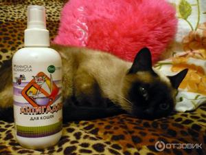 Антигадин для кошек