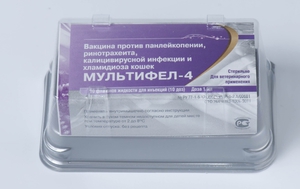 Как делать вакцинацию кошкам