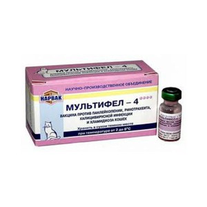Инструкция по применению вакцины Мультифел-4 для кошек