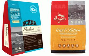 Какие корма лучше