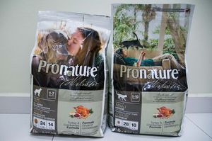 Корма для кошек холистик: состав, польза и лучшие марки