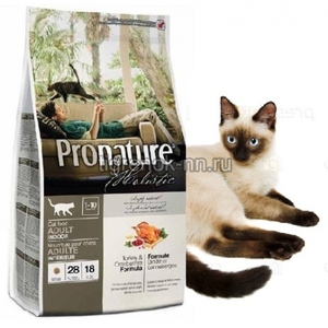 Корм холистик