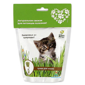 Выращиваем травку для кошек