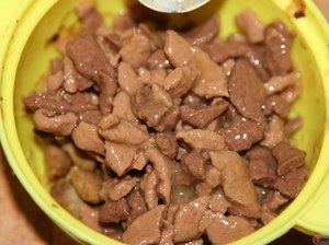 Каким кормом кормить котенка