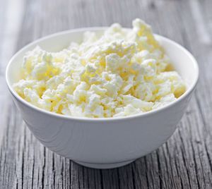 Творог для мейн-куна