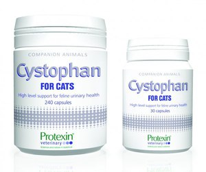 Лечение цистита у кошек