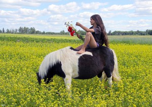 Чем кормить пони