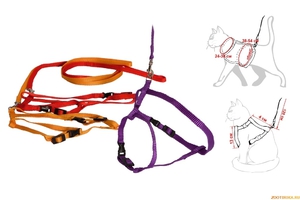 Как выбрать шлейку