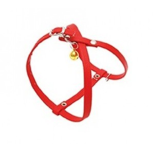 Шлейка и поводок для кошки: зачем нужны и как выбрать