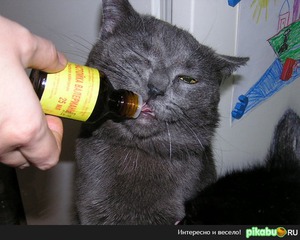 Передозировка валериянкой