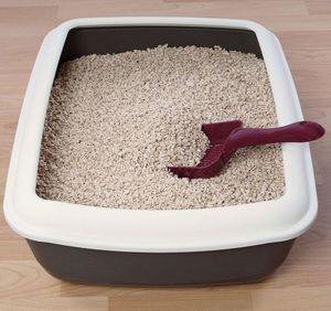 Лоток с высокими бортиками 