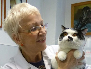 Короновирусная инфекция  - опасная болезнь  у кошек