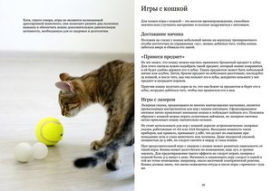 Дрессировка кошки  в домашних условиях