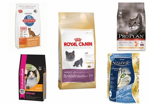 Корма для кошек: премиум и супер-премиум класс — выбор заботливых хозяев