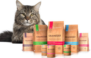 В чем особенность корма для кошек