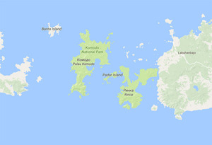 Остров Комодо-место обитания варанов