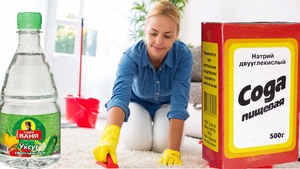 Способы избавления от кошачьей мочи