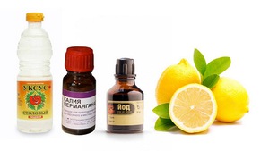 Как эффективно убрать запах кошачьей мочи в доме