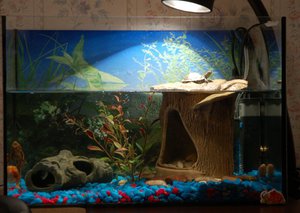 Аквариум для черепахи