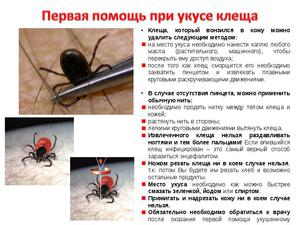 Признаки заражения клещами