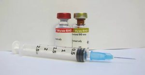 Какие привививать кроликов в домашних условиях