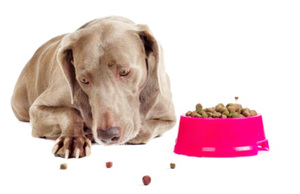 Отказ от пищи