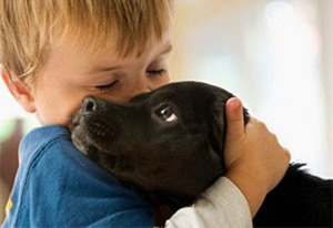 Почему собака не ест