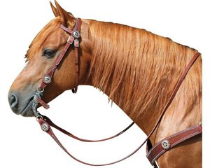 Узда для лошади