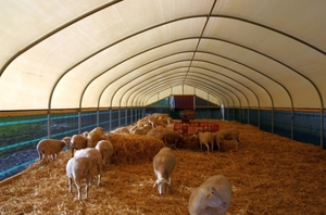 Строительство овчарни для овец своими руками