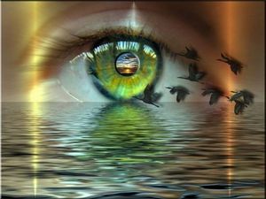 Все мы по-разному видим этот мир