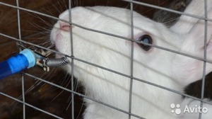 Автопоилка для кроликов