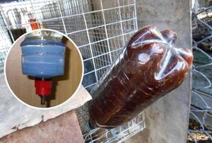 Ниппельная поилка для кроликов
