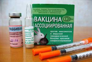 Вакцина для кроликов