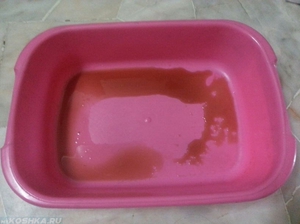 Кровь в моче у кота: причины и что делать в домашних условиях