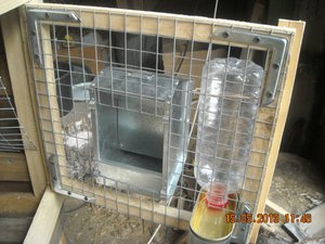 Кормушки и поилки для кроликов своими руками: простые и надежные решения