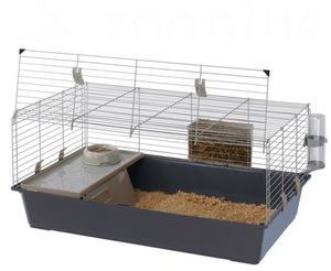 Клетка для декоративного кролика: выбор, размеры и обустройство