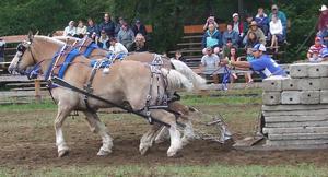 Где используется владимирский тяжеловоз