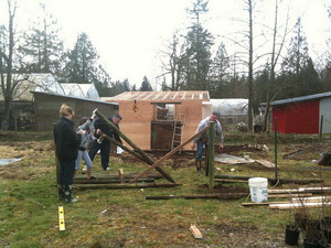 Описание этапов постройки свинарника на две головы своими руками