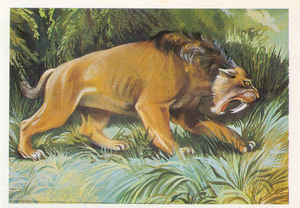 Какие повадки были у тигра