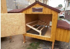 Как оборудовать курятник внутри