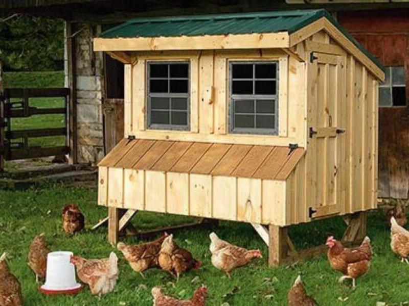 Деревянные курятники своими руками Из чего построить курятник