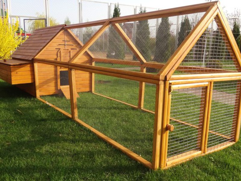 Как собрать курятник Курятник из дерева