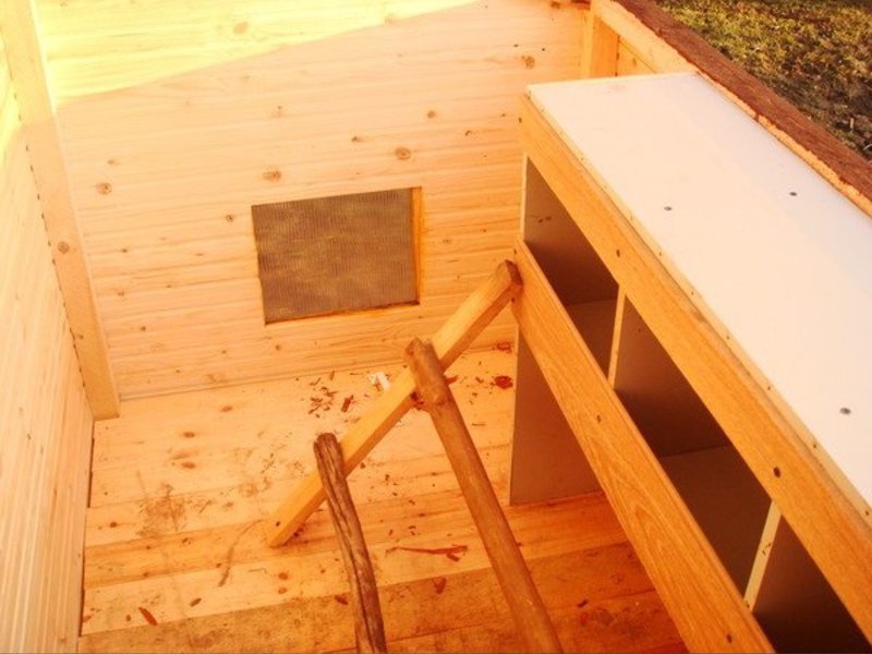 Какие требования к курятнику Деревянные курятники