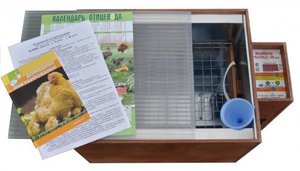 Инкубатор Золушка: особенности эксплуатации и описание