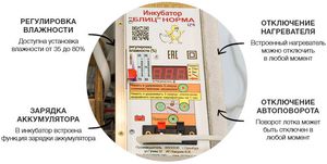 Преимущества инкубатора золушка
