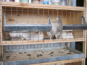 Клетки своими руками