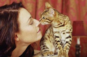 Как выглядит нос здоровой кошки: признаки нормы и тревоги