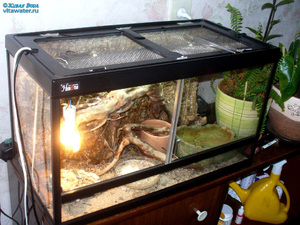Горизонтальный террариум